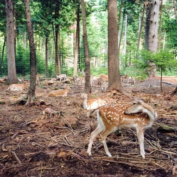 Meet your Posher, Linxi - Picture 1 of 1